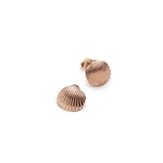 Diamond Accent Seashell Stud Earrings in Rose Gold