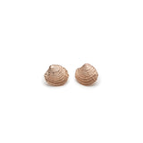 Mini Clamshell Stud Earrings in Rose Gold