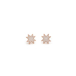 Asteri Diamond Pavé Mini Star Stud Earrings in Rose Gold
