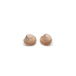 Mini Clamshell Stud Earrings in Rose Gold