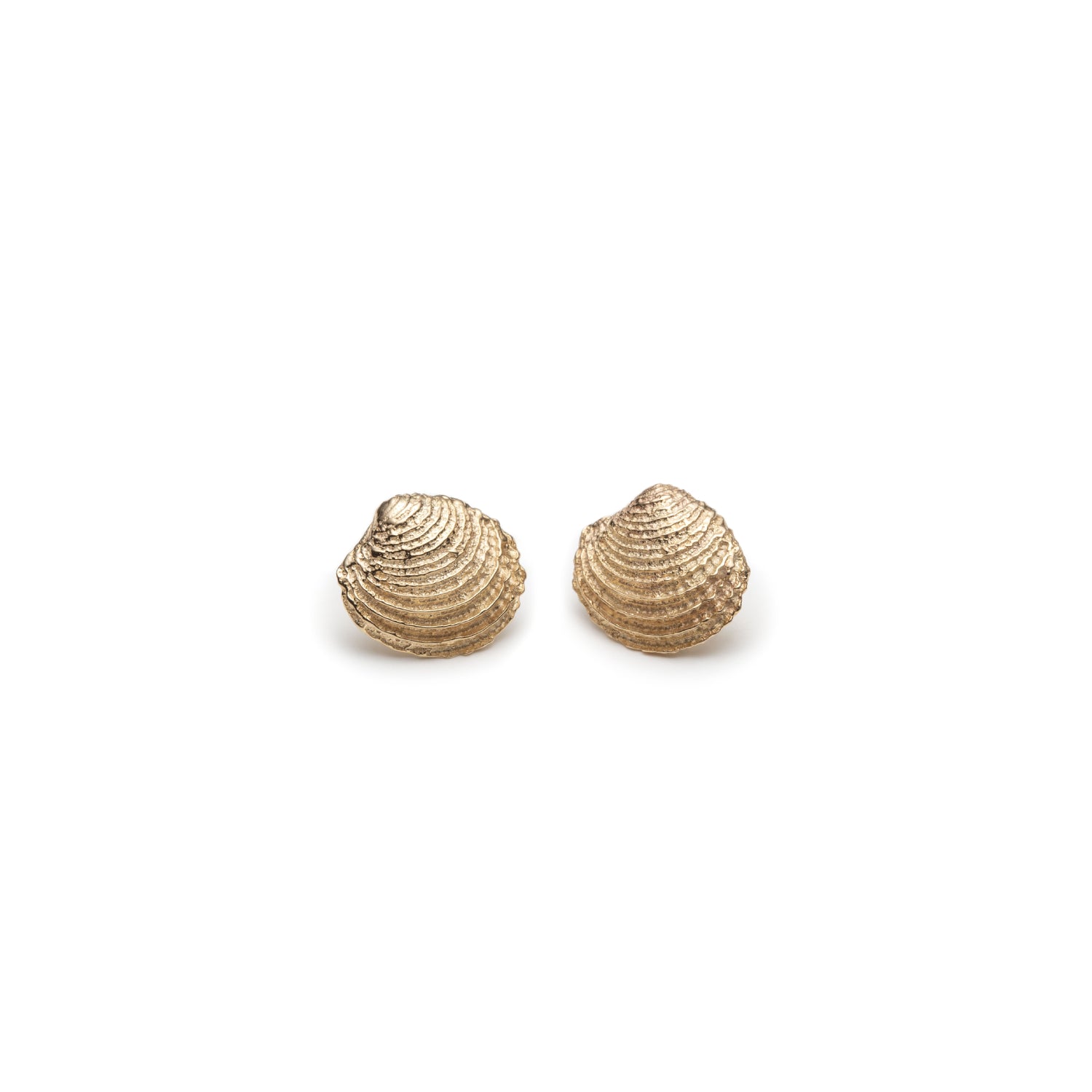 Mini Clamshell Stud Earrings in Yellow Gold
