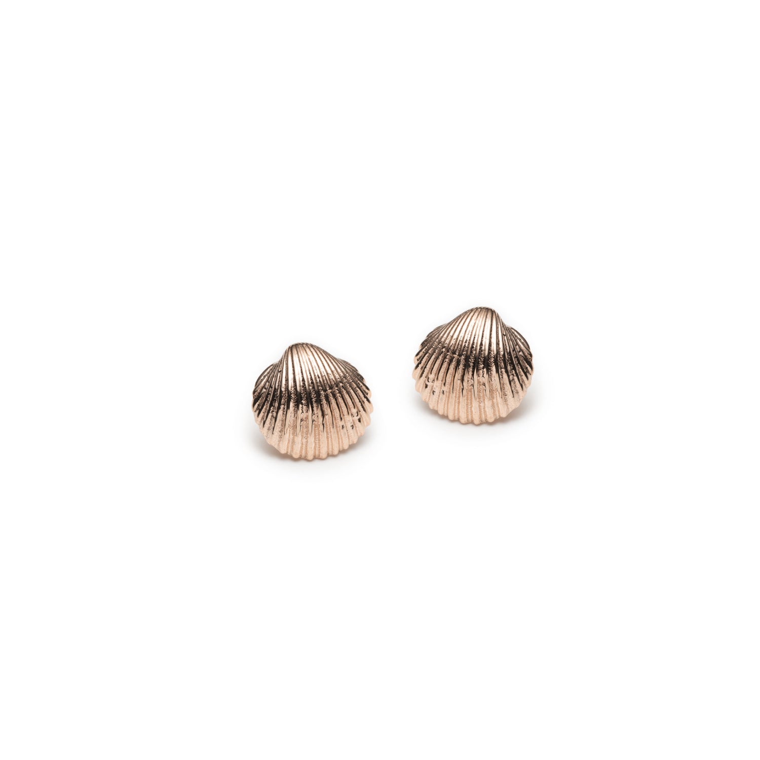 Mini Seashell Stud Earrings in Rose Gold