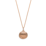 Pearl and Diamond Seashell Pendant in Rose Gold