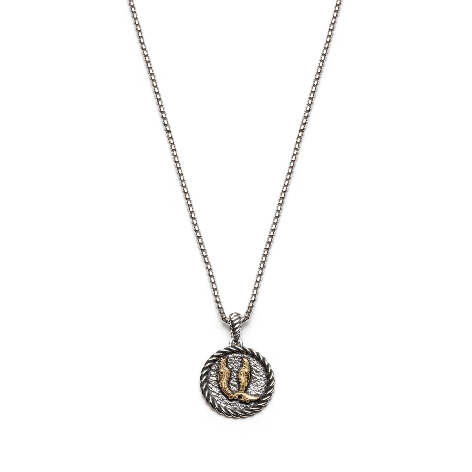 Trchnakir Armenian initial necklace in 18k yellow gold and sterling silver, with a textured medallion and twisted rope border.