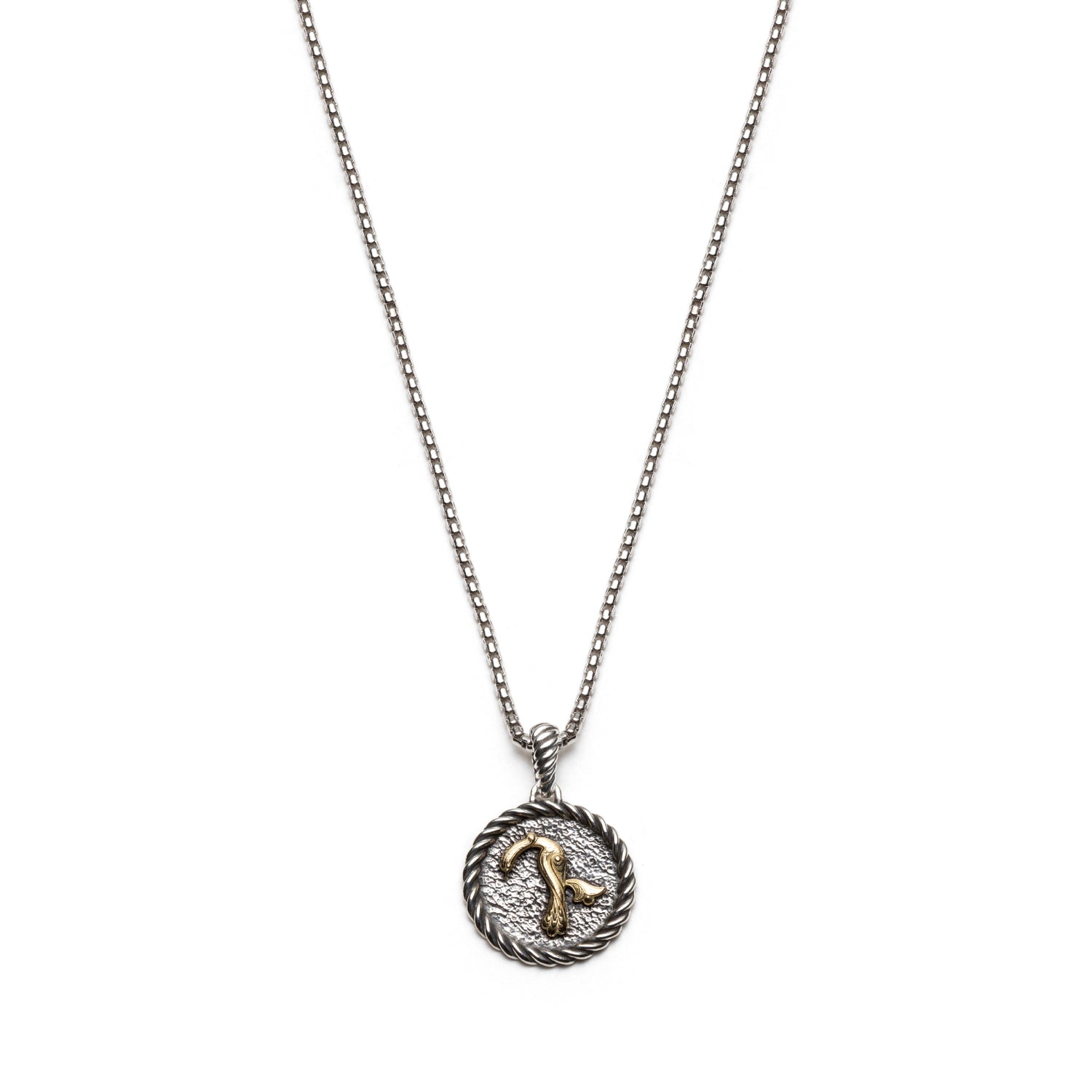 Armenian initial in bird-shaped Trchnakir lettering on a sterling silver medallion with a twisted border and matching bail.