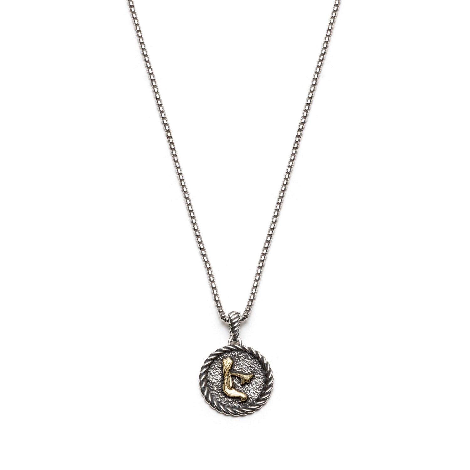 Trchnakir Armenian initial medallion necklace featuring two facing bird forms in yellow gold against textured sterling silver.