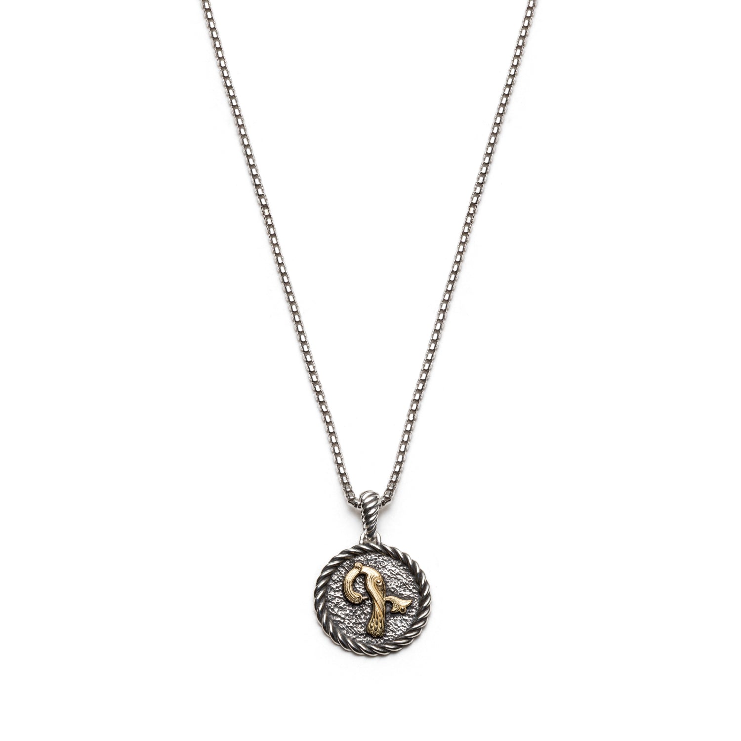 Trchnakir initial medallion necklace with raised yellow gold lettering, a textured silver background and rope-style edging.